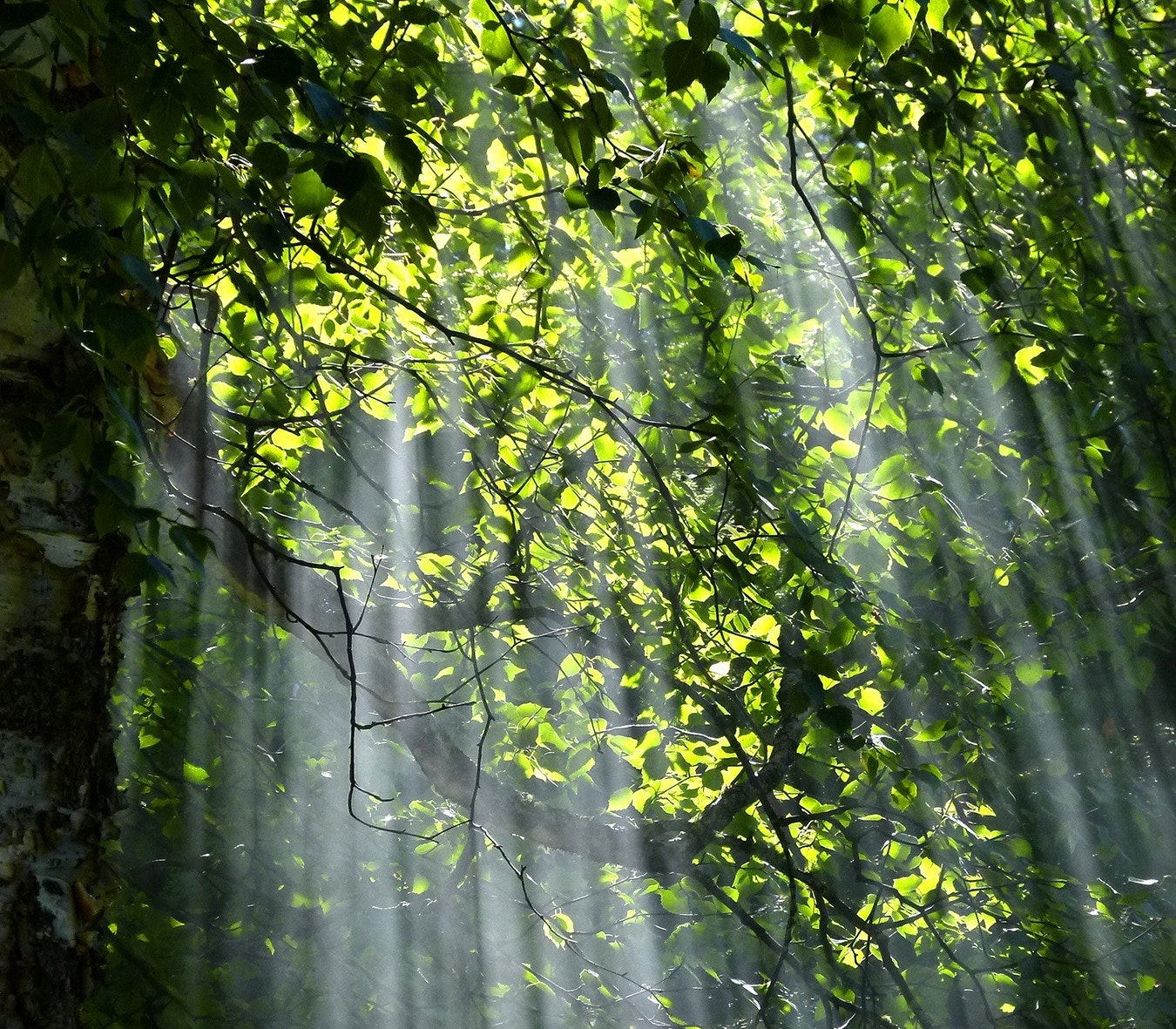 How does Vitamin D Help Your Skin?